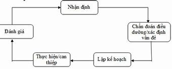 Bước 2 Của Quy Trình Điều Dưỡng Là