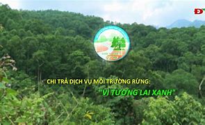 Đối Tượng Phải Chi Trả Dịch Vụ Môi Trường Rừng